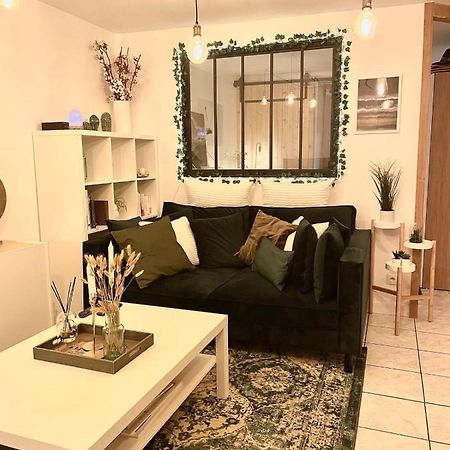 Ferienwohnung Petit Cocon Au Coeur D'Annecy Exterior foto