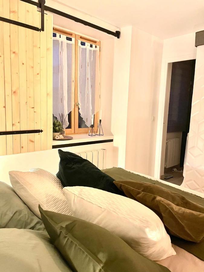 Ferienwohnung Petit Cocon Au Coeur D'Annecy Exterior foto